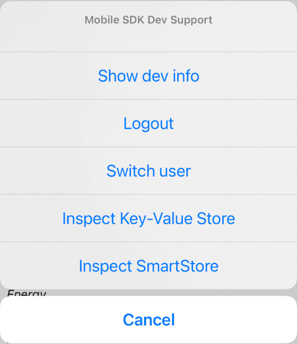 Dev Support main screen for iOS