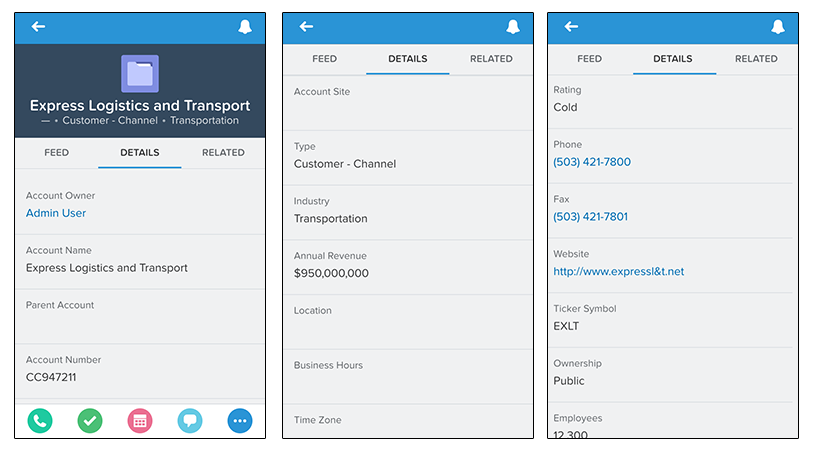 Account Detail in Salesforce1