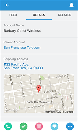 Account Record Detail