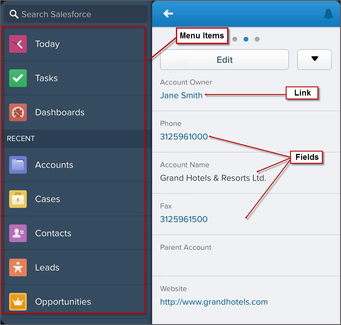 A Force.com platform app page in Salesforce1 including hyperlinks and a form