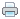 Print icon
