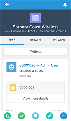 Case in Account Feed