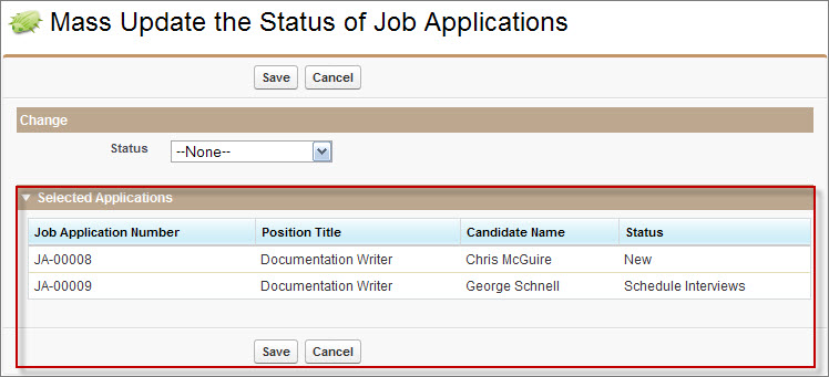 The Mass Update Status Visualforce page. The applications selected on the previous page display in a Selected Applications list.