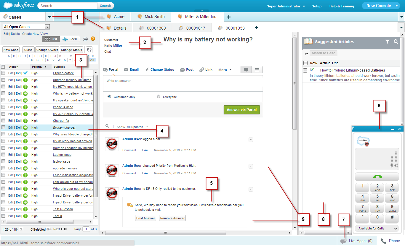 Screen shot of a Salesforce console