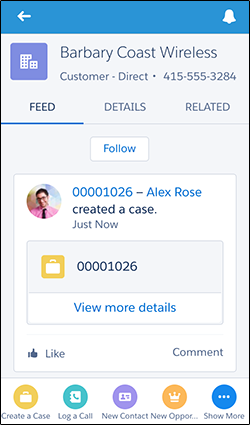 Case in Account Feed