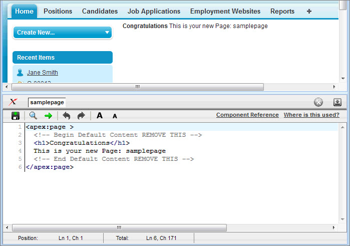 A Visualforce page in development mode