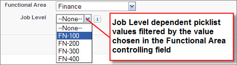 A Job Level picklist with values dependent on the values chosen in the Functional Area controlling field