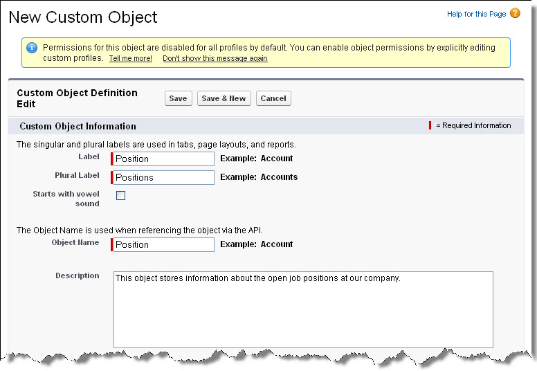 The New Custom Object page for the Position object