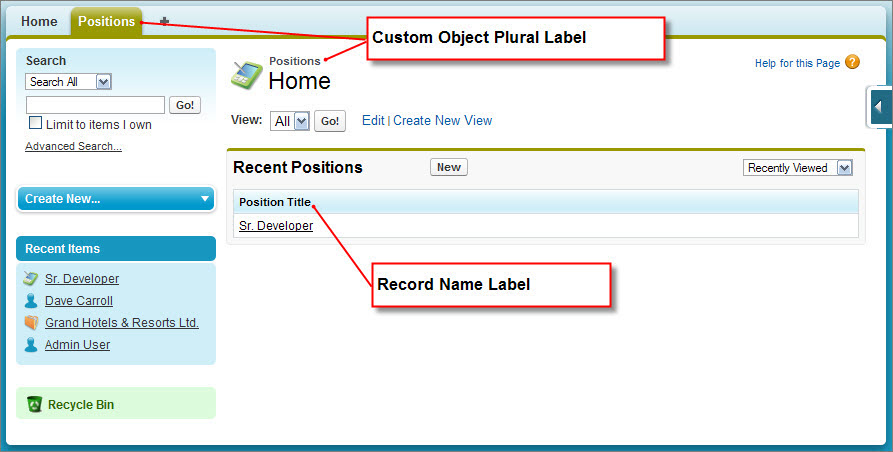 An example of the Custom Object Plural Label and Record Name Label fields in use in the app