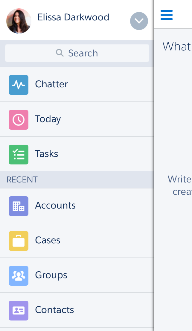 Salesforce1 Navigation Menu