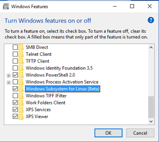Windows Subsystem for Linux
