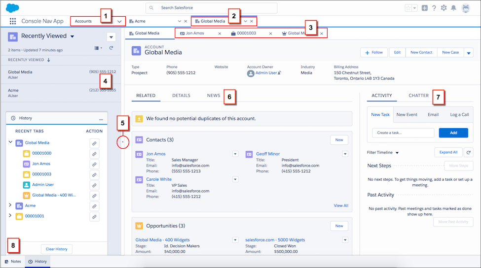 Screen shot of a custom Lightning console app.