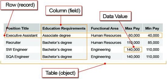 A database table displaying a Row (record), Column (field), Data Value, and Table (object)