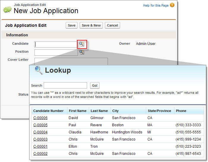The Job Application detail page highlighting the Candidate lookup