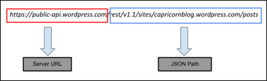 enter the endpoint to preview JSON content
