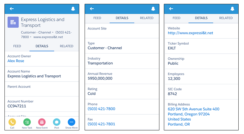 Account Detail in Salesforce1