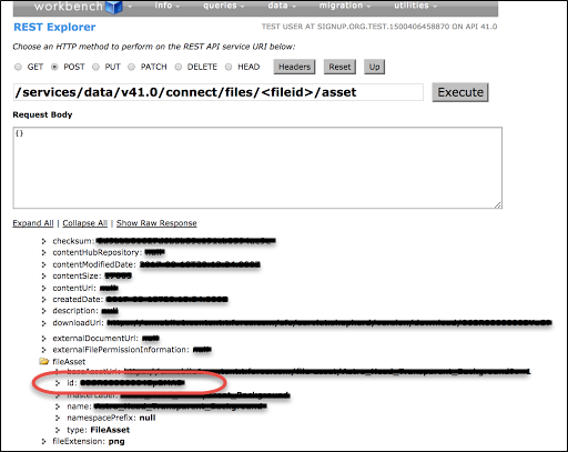 The icon id for ChatterExtension