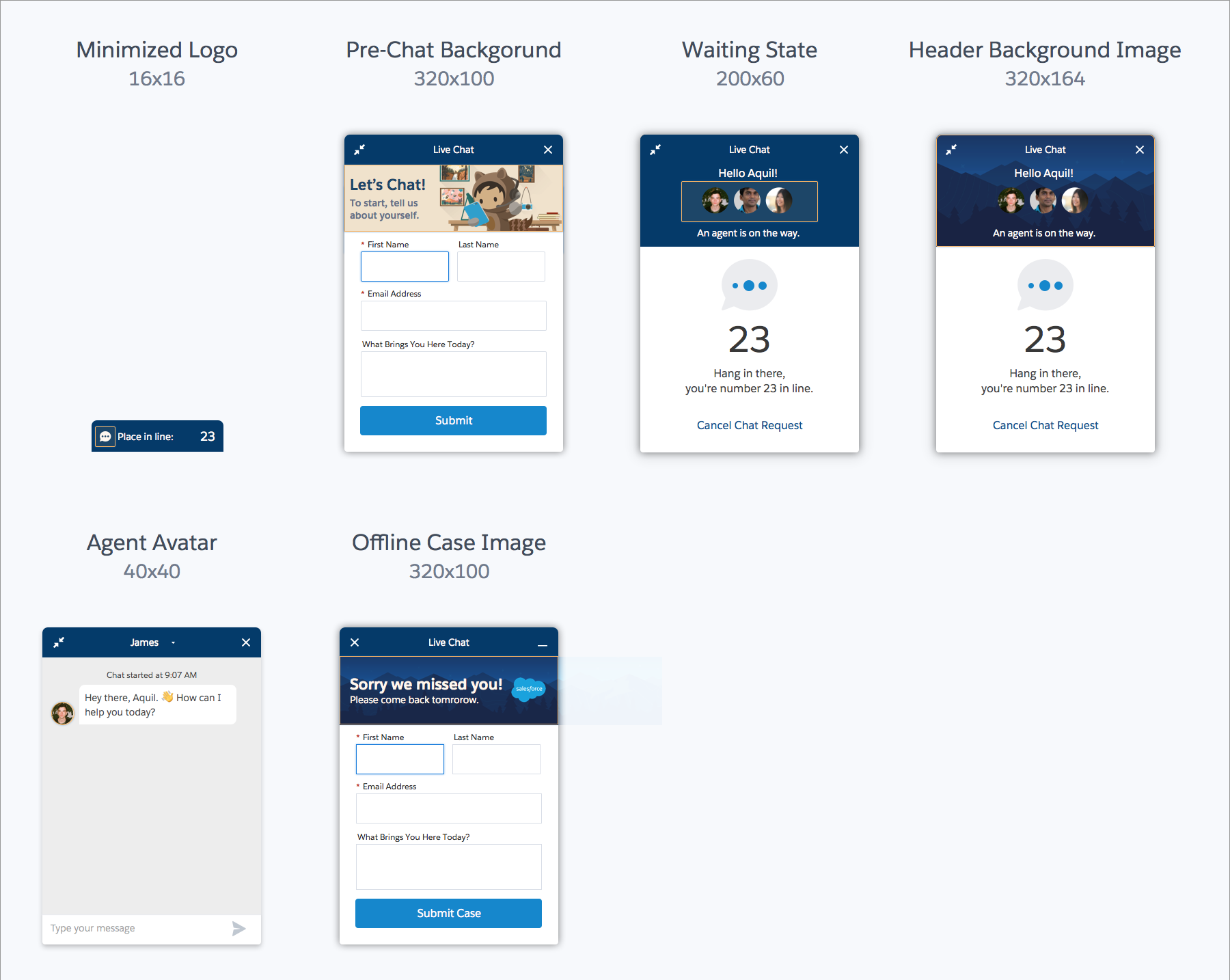 Specify Chat Images Embedded Service For Web Developer Guide