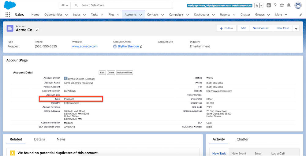 AccountPage Visualforce page after updating Type field.