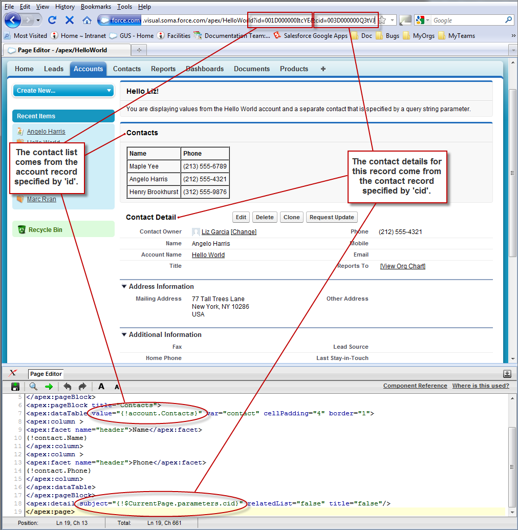 A Visualforce page that uses query string parameters