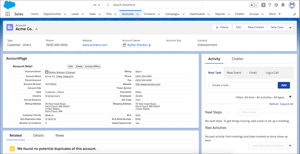 AccountPage Visualforce page before updating Type field.