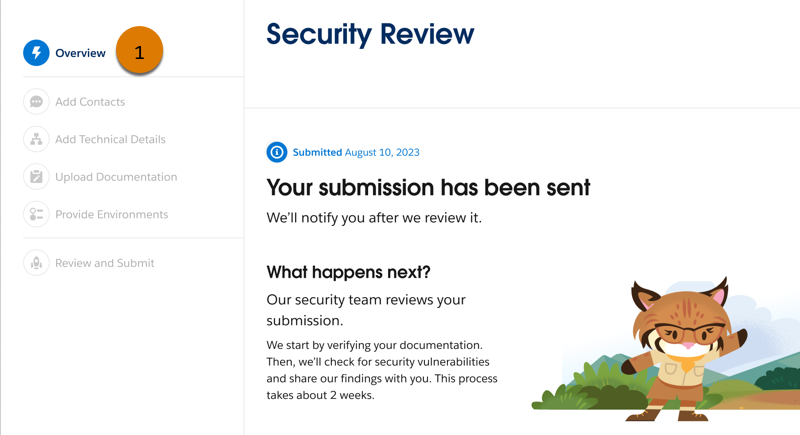 A submission in the Security Review wizard with a callout on the Overview area.