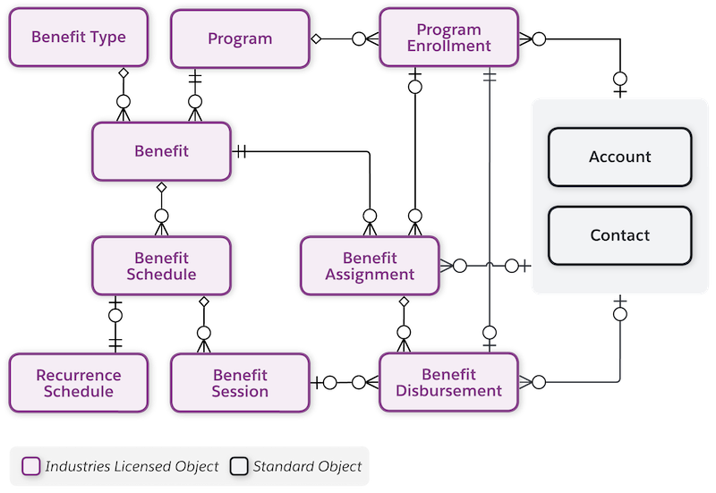 The data model of Program Management for Nonprofit Cloud.