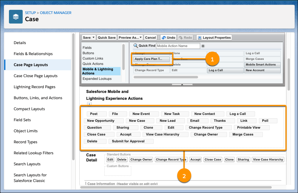 Screenshot of the CarePlan Layout page, with callouts for the new button and the area it should be placed in.