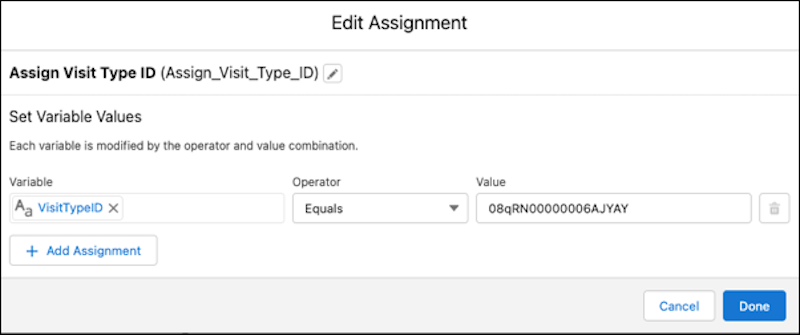 Edit assignment screen showing visit type value being assigned