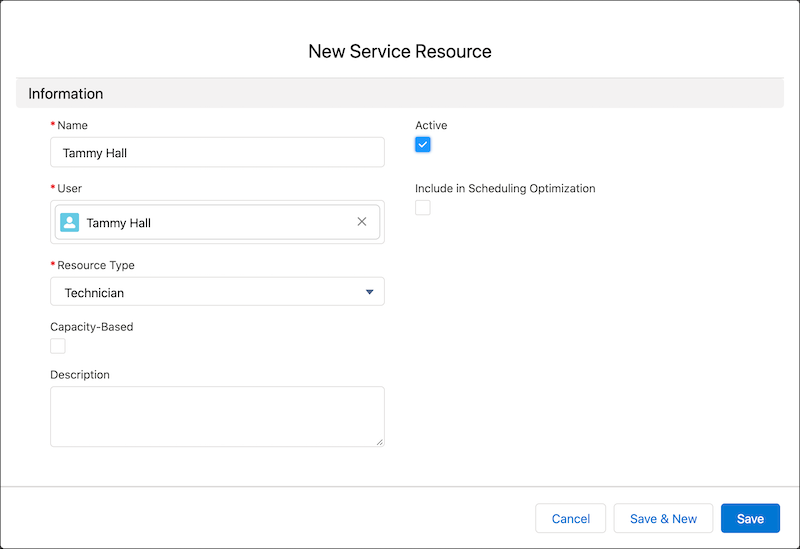 image of a service resource record