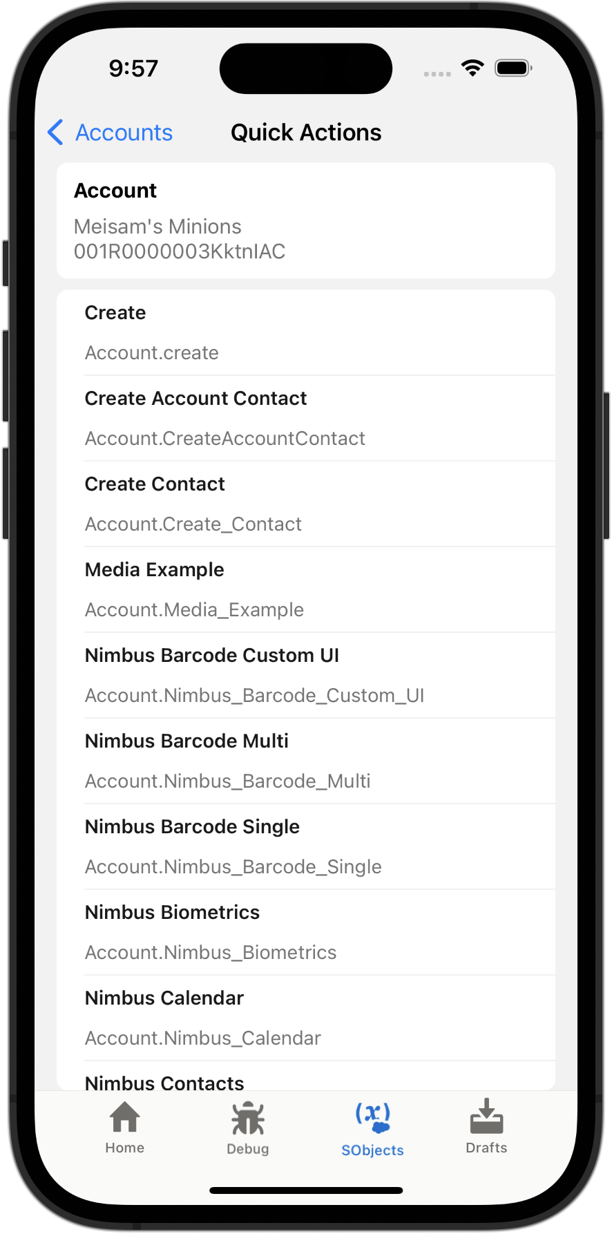 SObjects tab of the Test Harness app, showing Account record actions