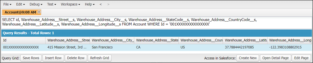 Query results in Developer Console.