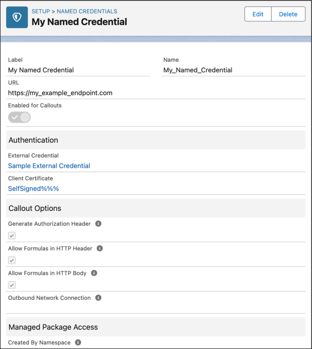 Named credential detail page