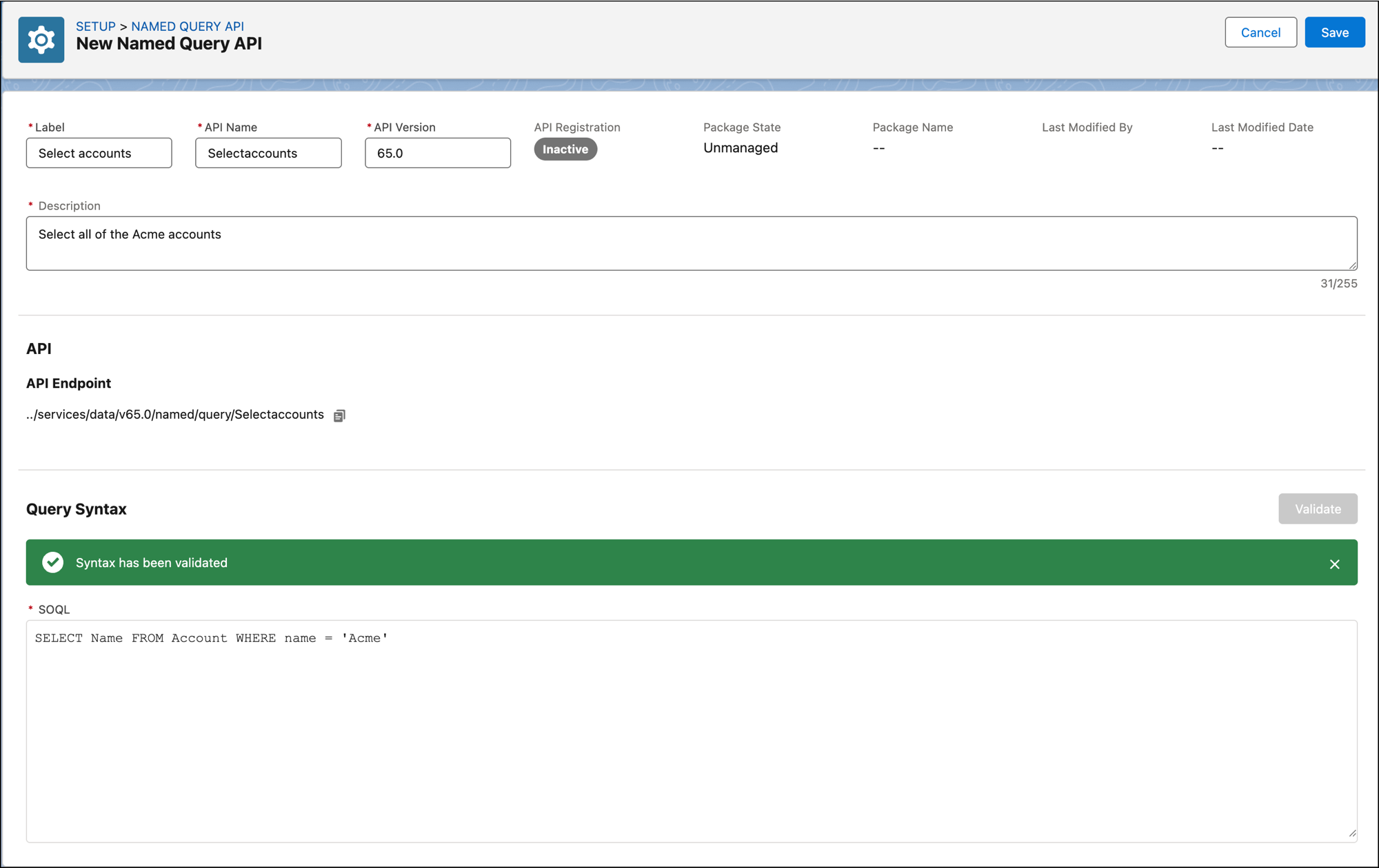 Screenshot of an example Named Query API creation screen