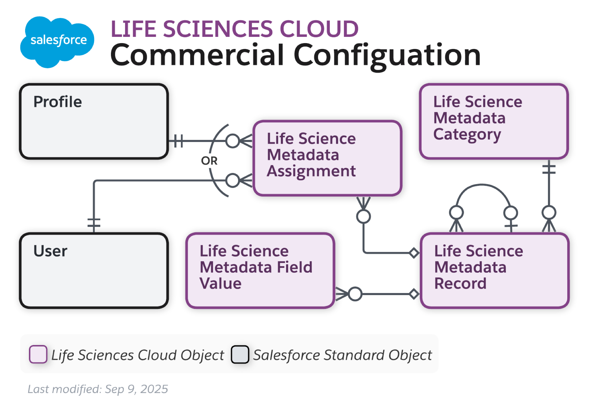 images/lsc_key_account_plan_data_model.png