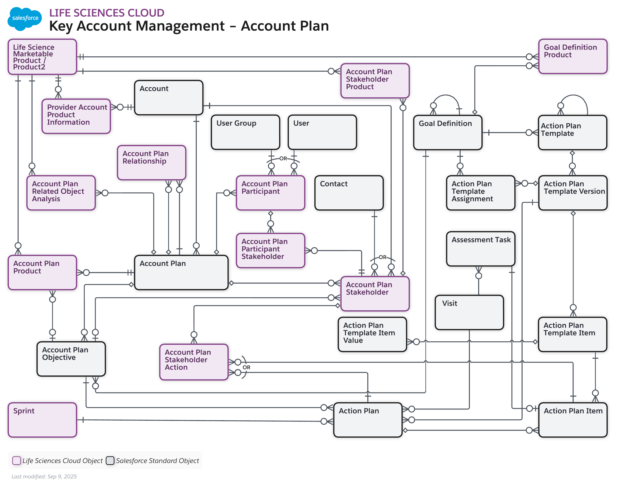 images/lsc_key_account_plan_data_model.png