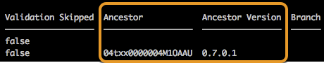 Output from package:version:report command
