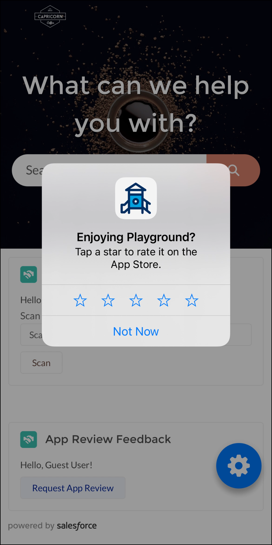App Review Request