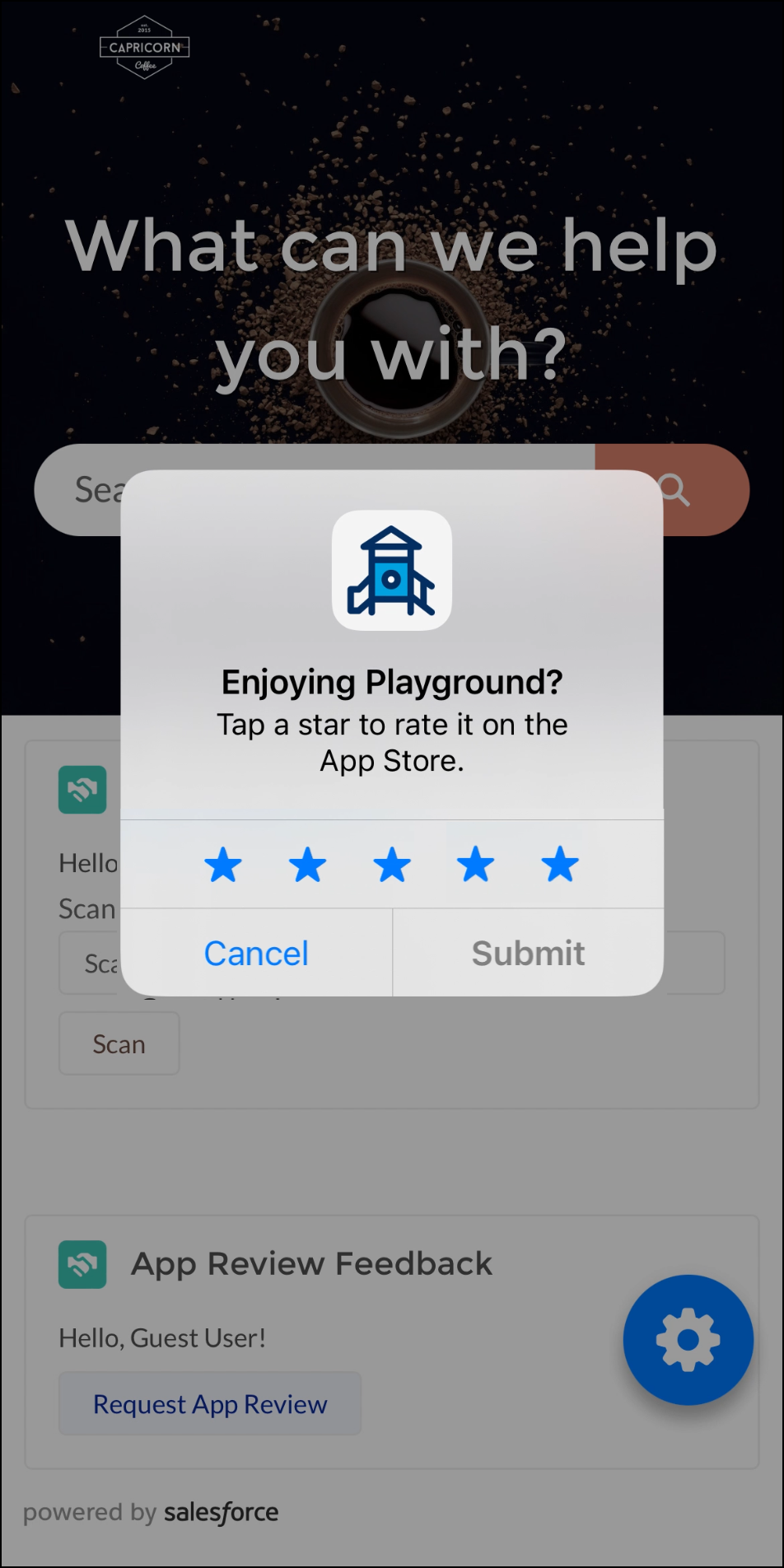 Submit App Review