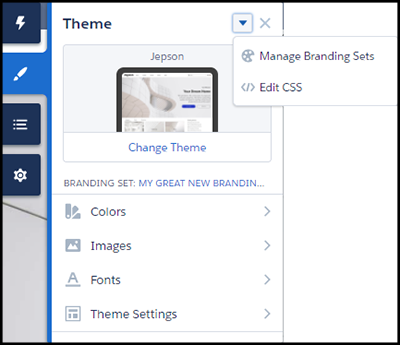 Theme panel and menu