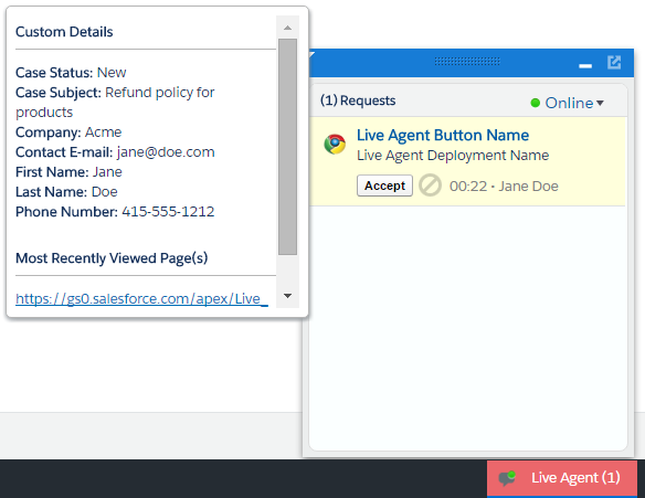 Incoming chat with Custom Details hover.