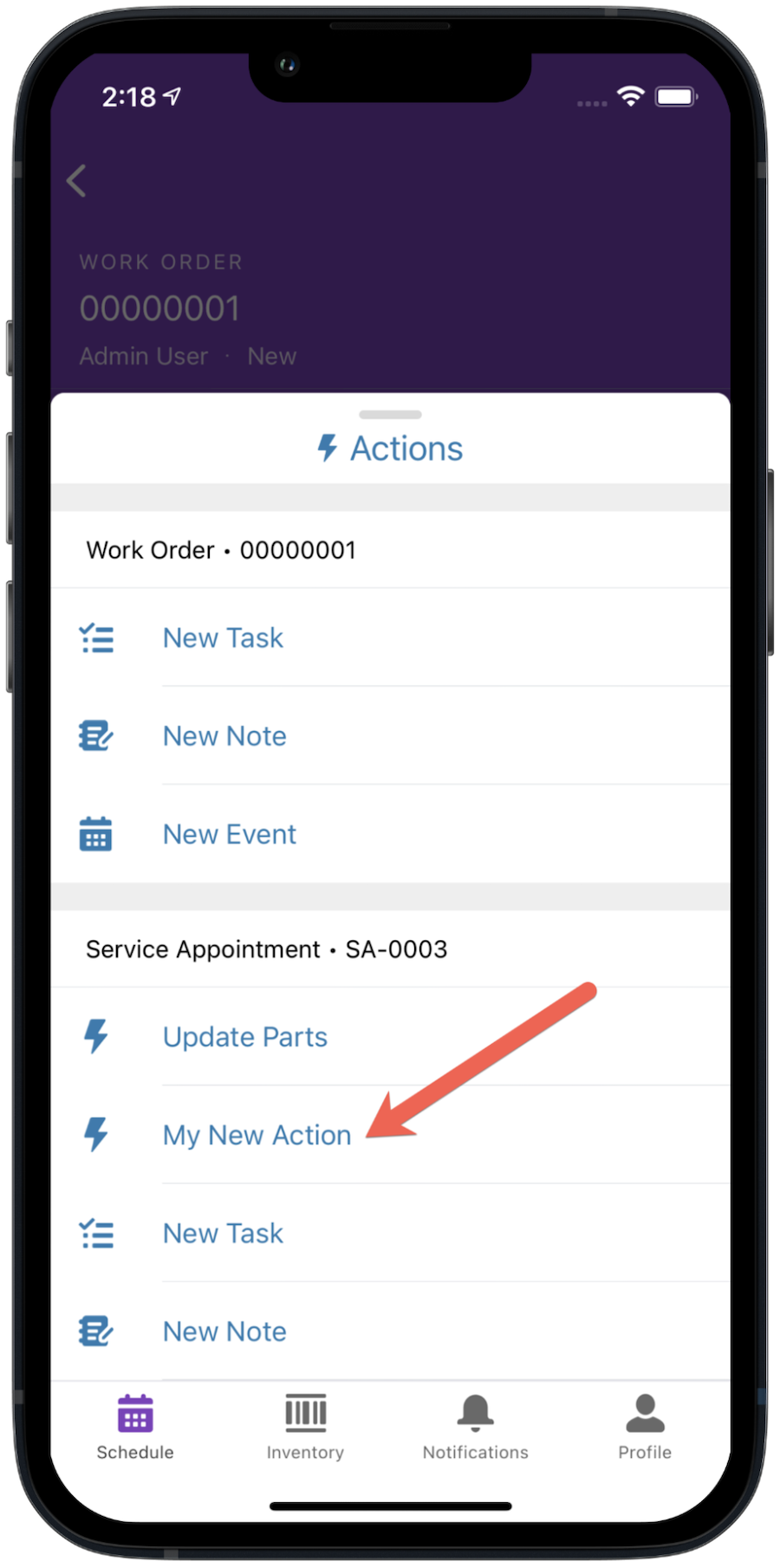 Actions menu on iOS, with new LWC custom action