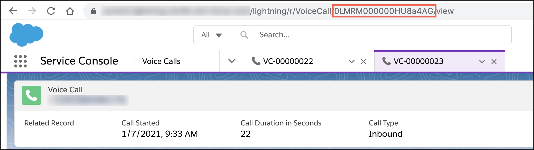 VoiceCall ID