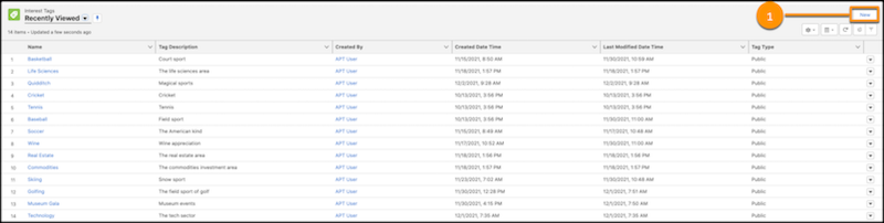 A representation of create Interest Tags on the Lightning Component screen.