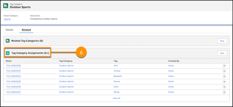 A representation of Interest Tags by tag category.