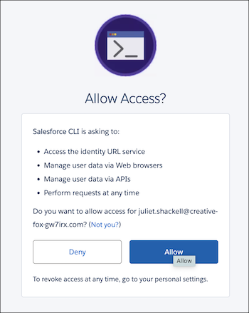 Setup page for allowing the org to be authorized by the CLI.