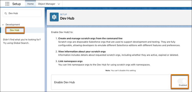 Dev Hub Setup page with Enable Dev Hub highlighted..