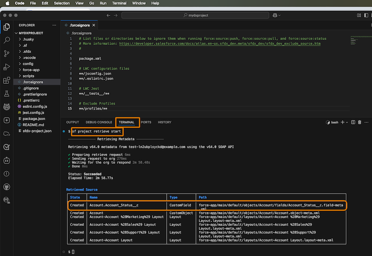 VS Code showing the results of retrieving metadata from scratch org in the terminal.