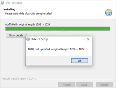 Windows installer showing an error about the PATH not being updated.