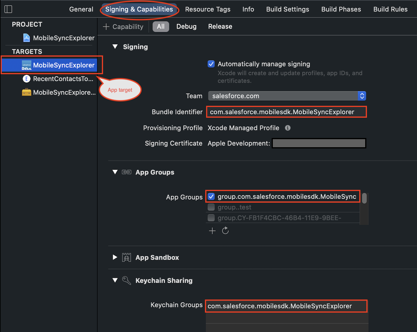 App group and keychain sharing settings for Mobile SDK app using iOS app extensions